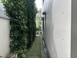 Bukit Timah Road (D10), Semi-Detached #501495421